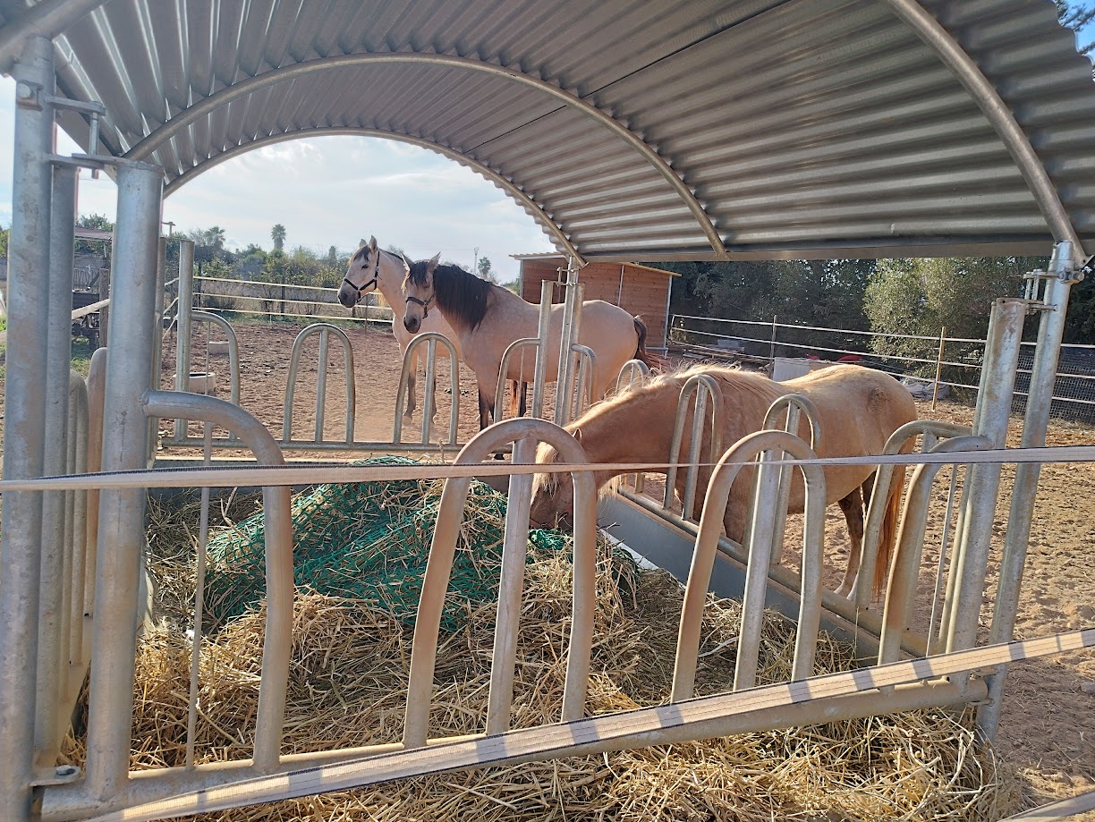 assessorament instalacions agropecuaries